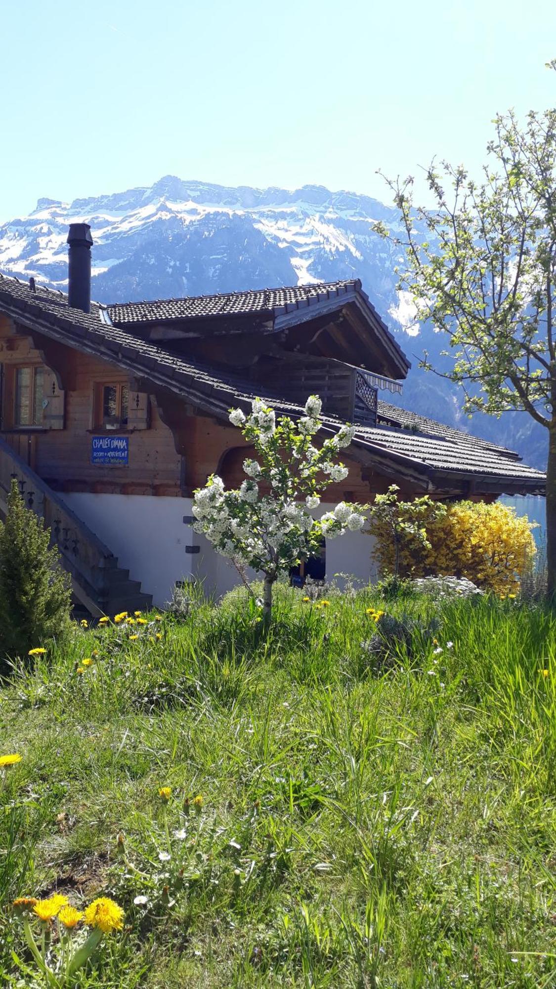 Chalet Diana Lakefront Ringgenberg Εξωτερικό φωτογραφία